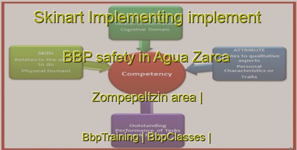 Skinart Implementing implement BBP safety in Agua Zarca  Zompepeltzin area | BbpTraining | BbpClasses | SkinartTraining-Mexico